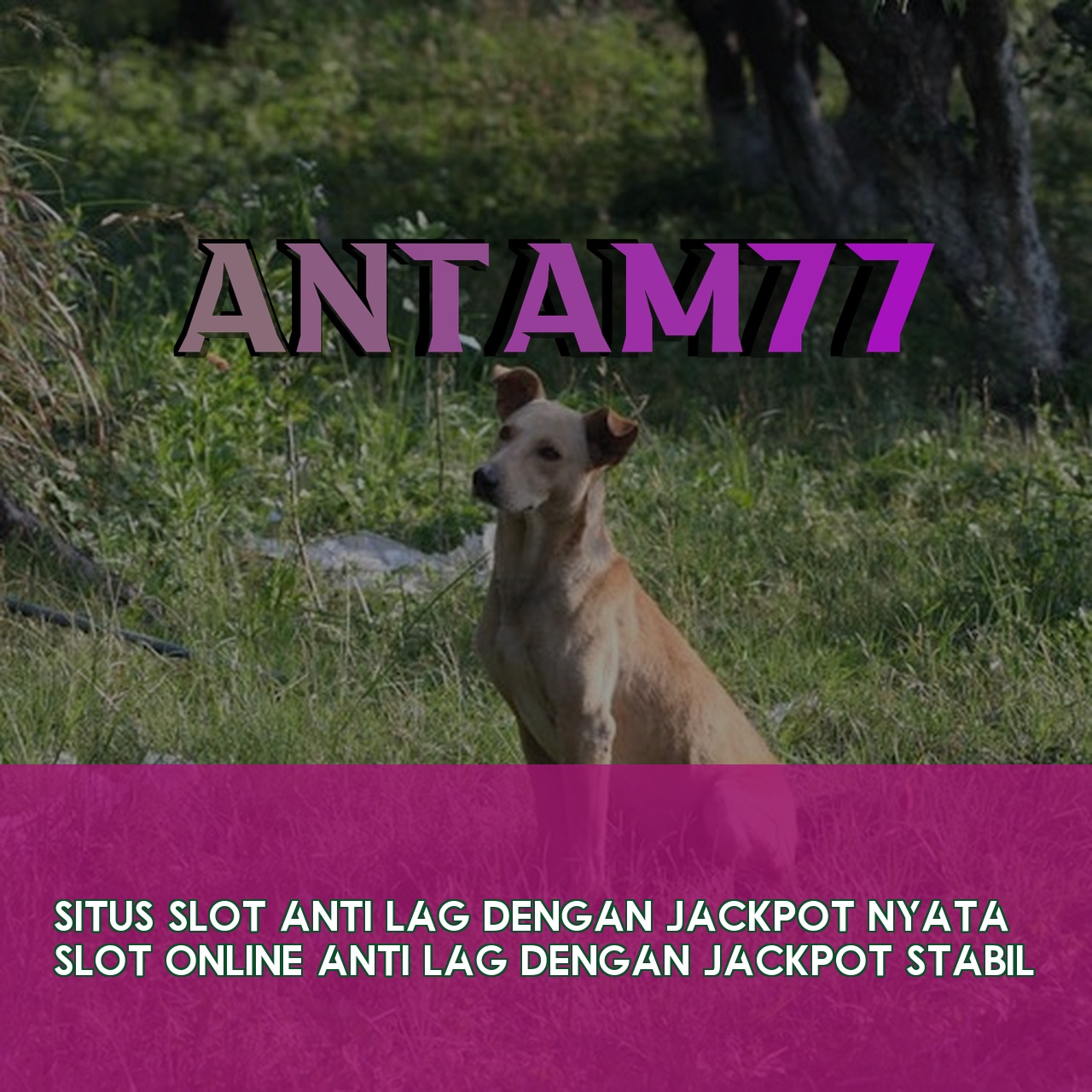ANTAM77