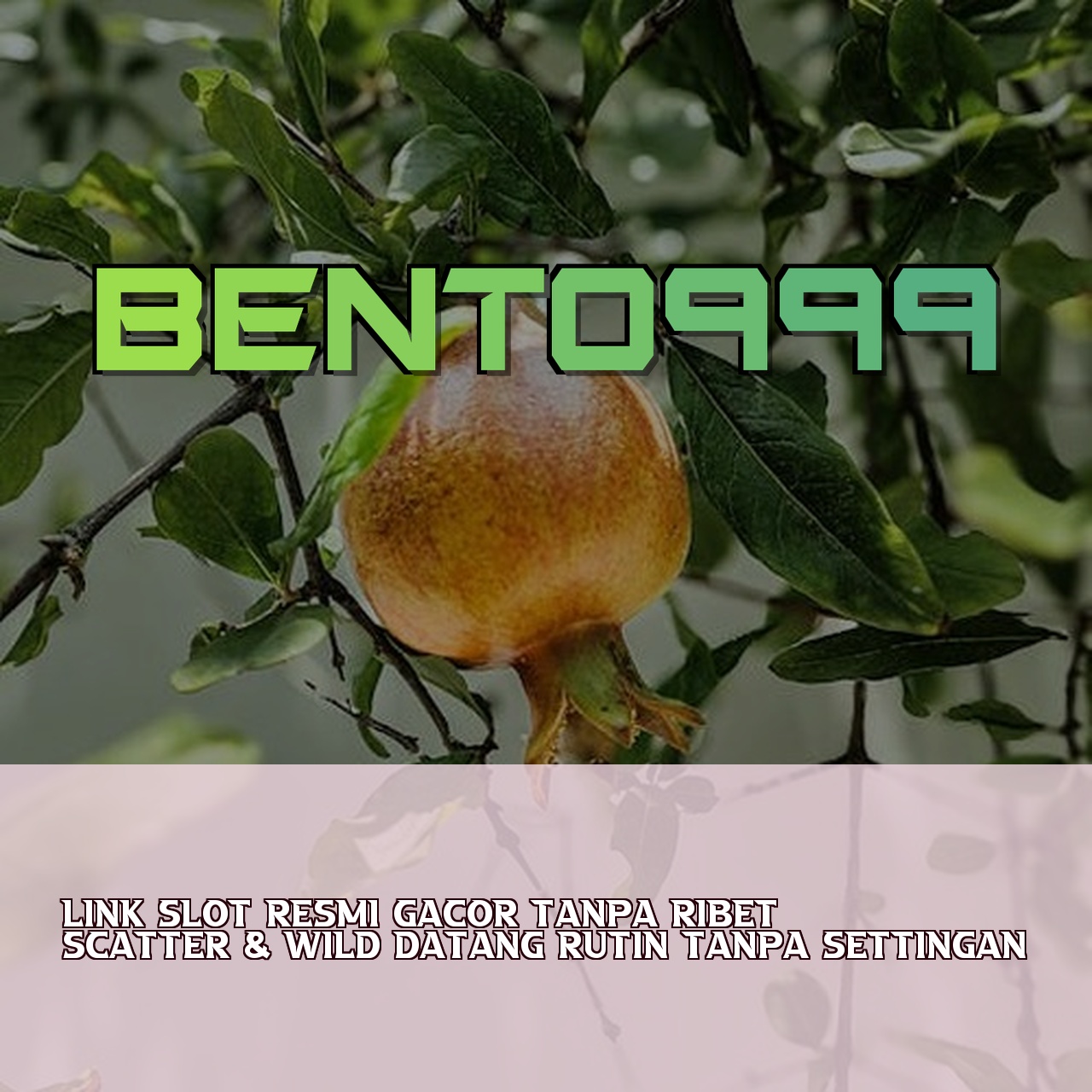 BENTO999