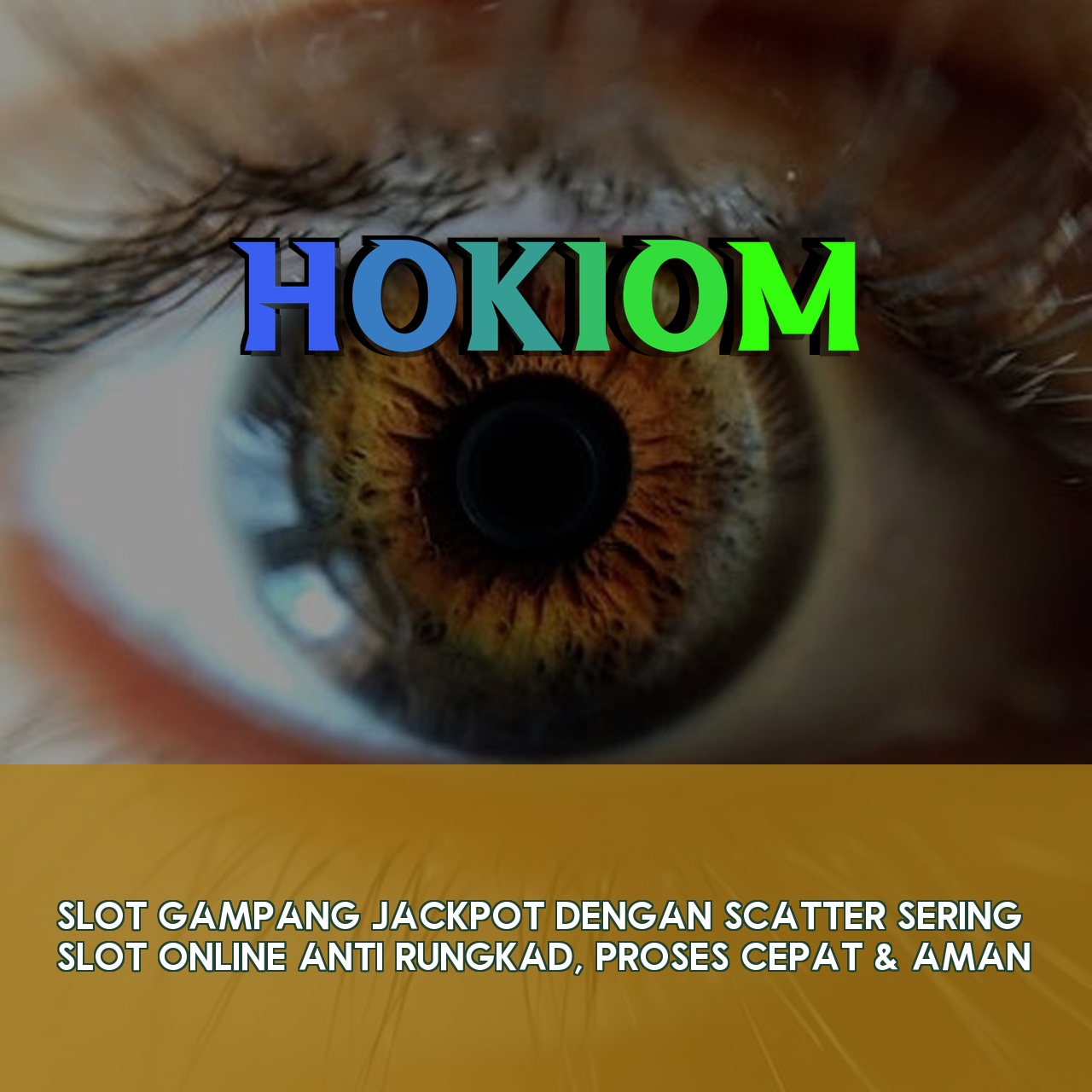 HOKIOM