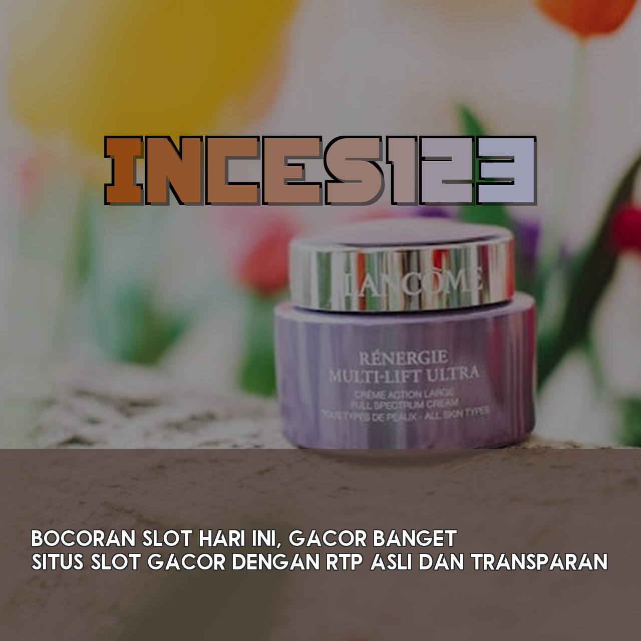 INCES123