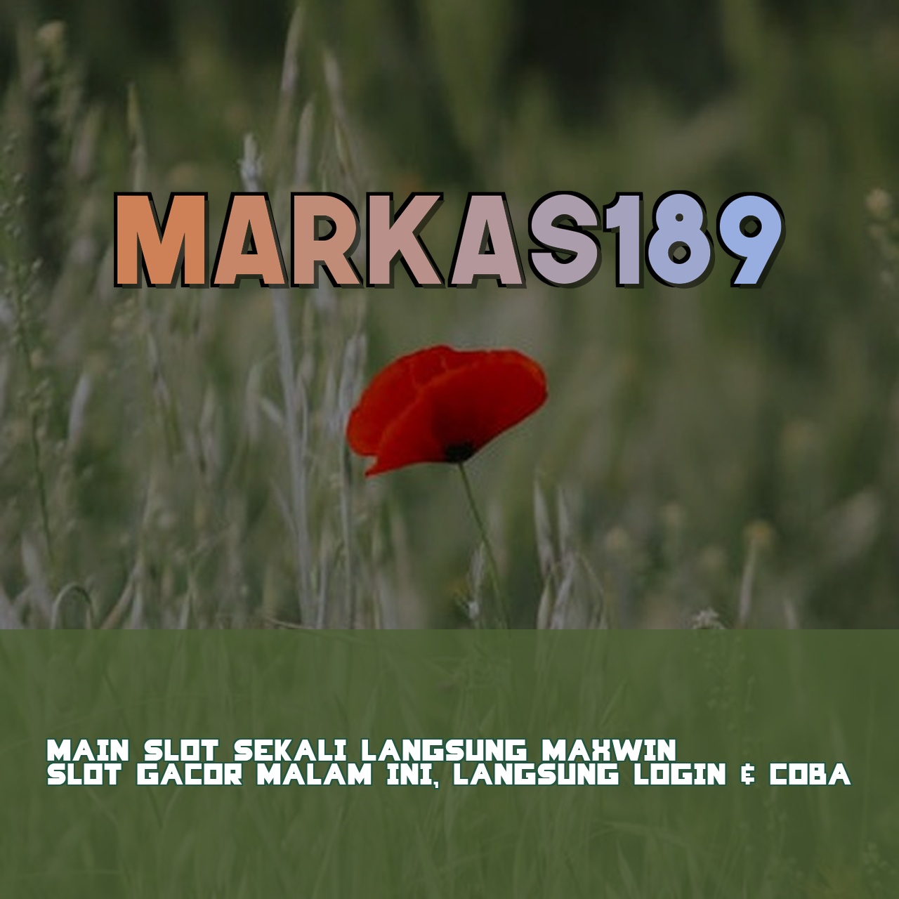 MARKAS189