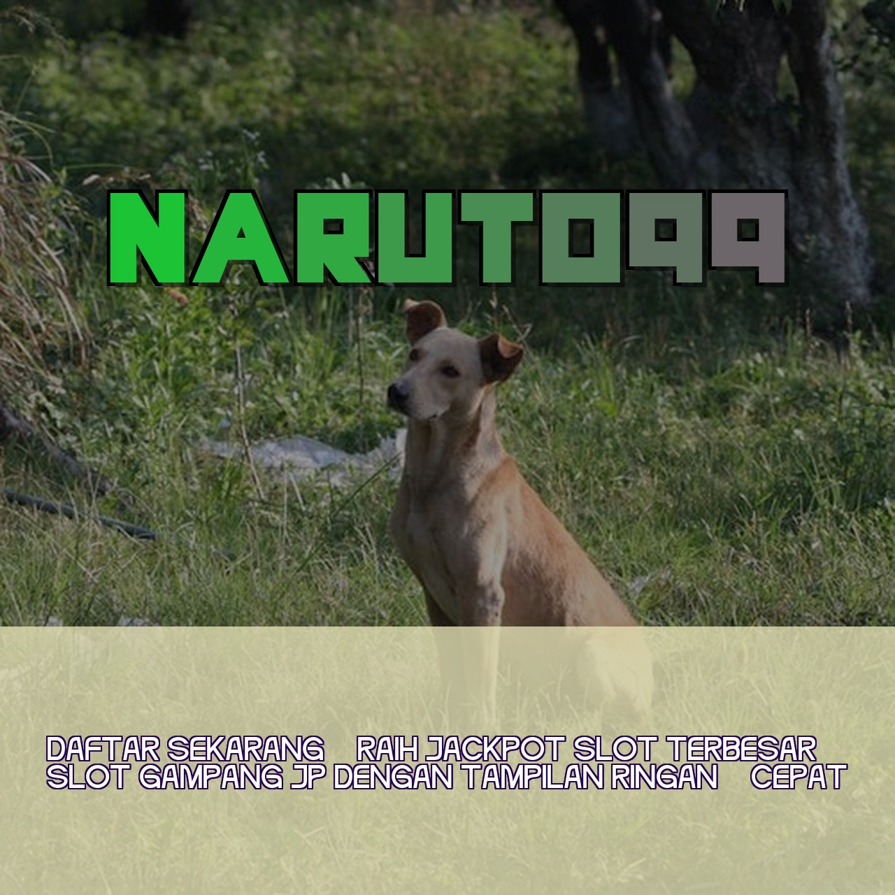 NARUTO99