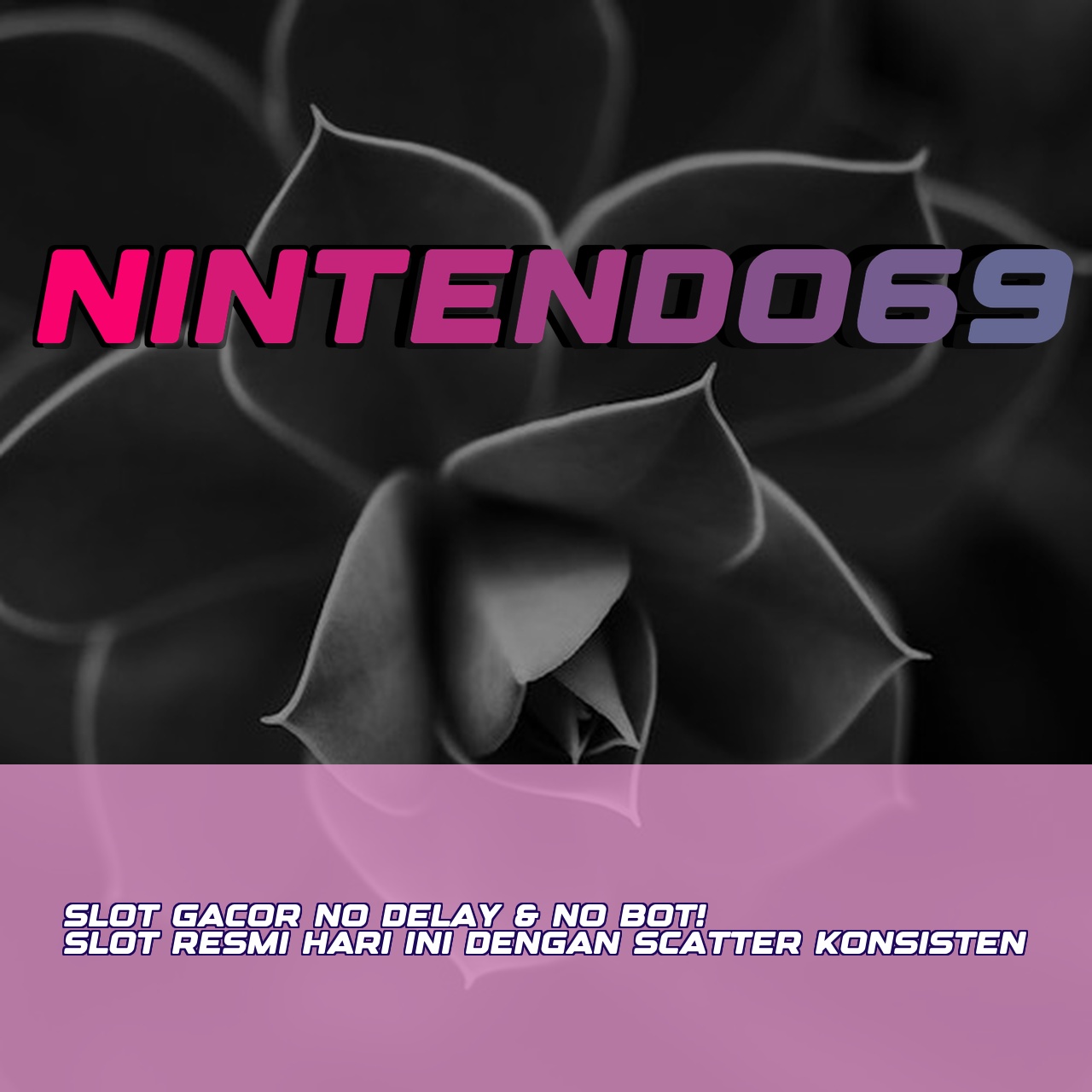 NINTENDO69