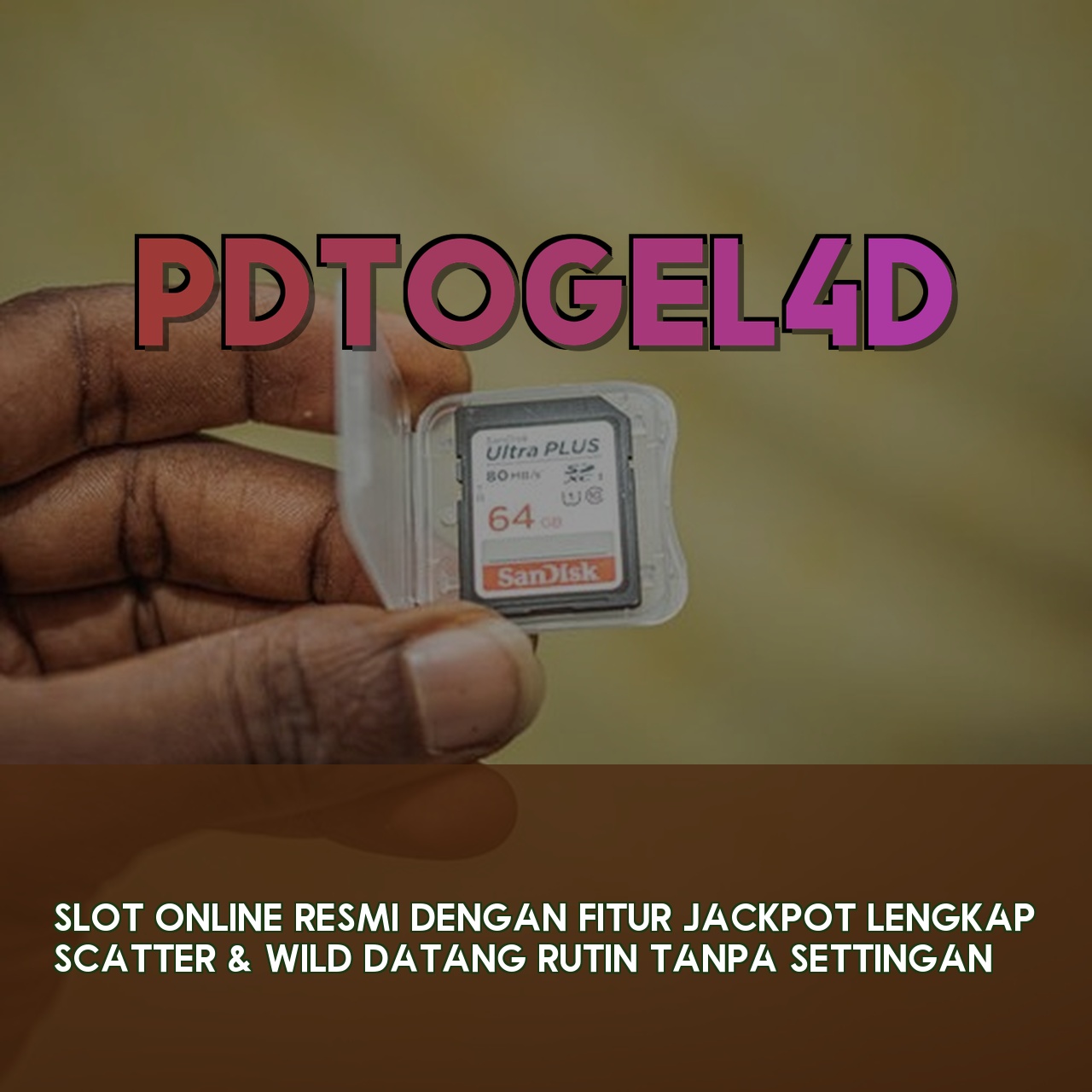 PDTOGEL4D