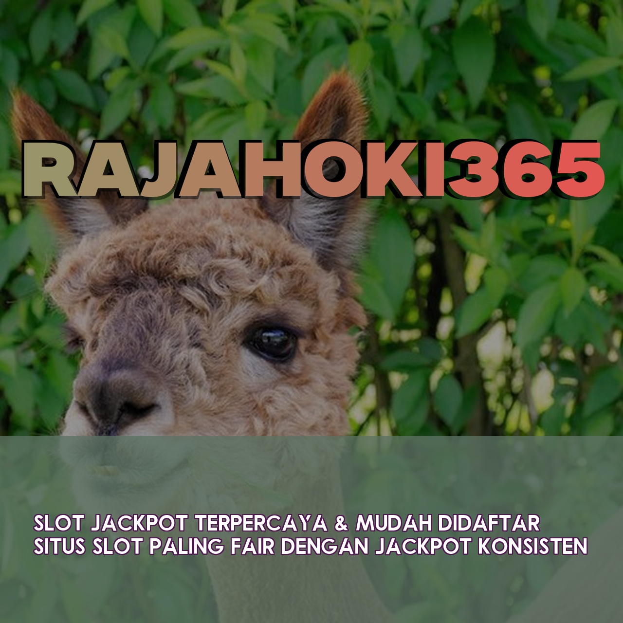 RAJAHOKI365