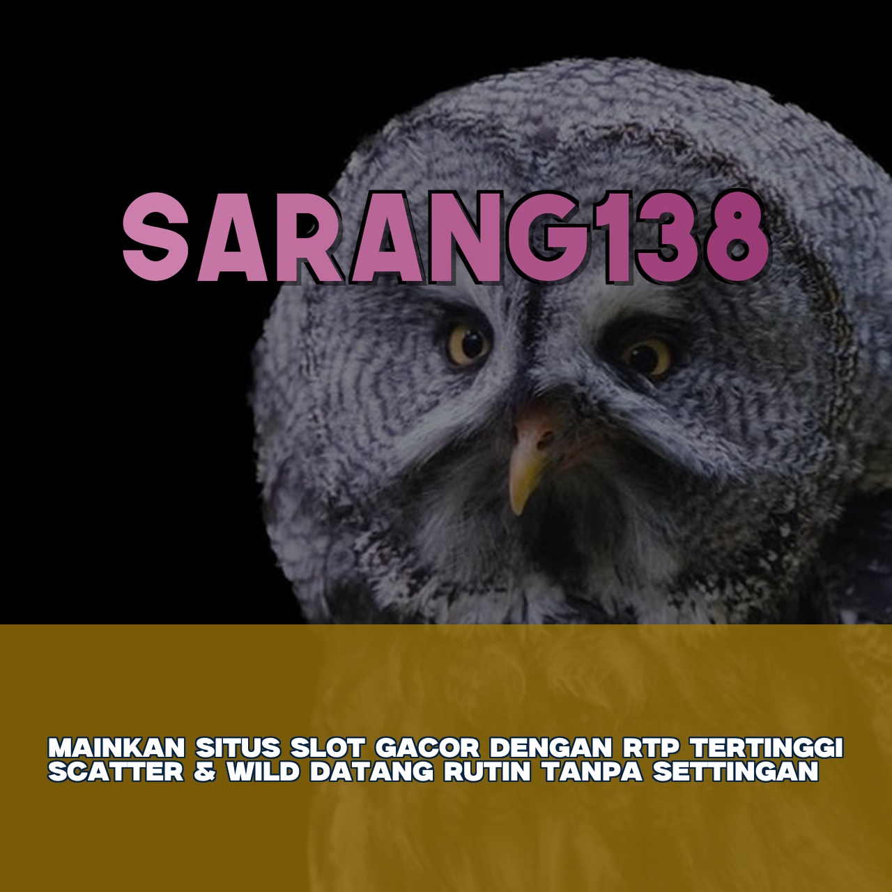 SARANG138