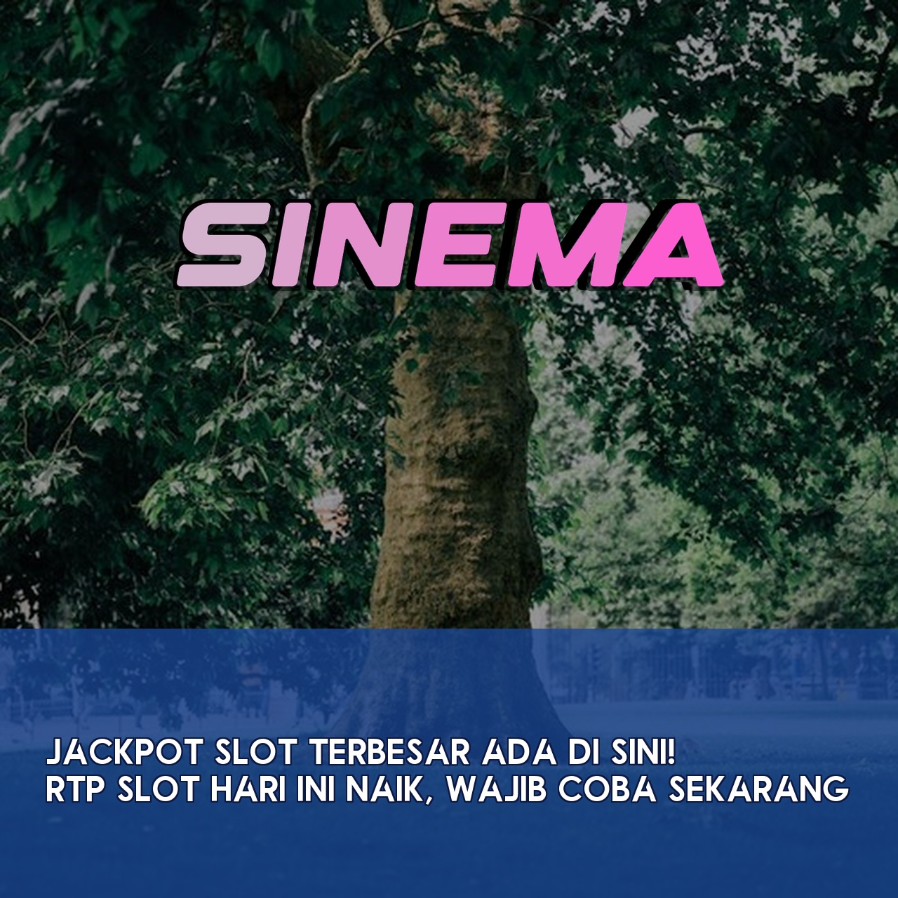 SINEMA