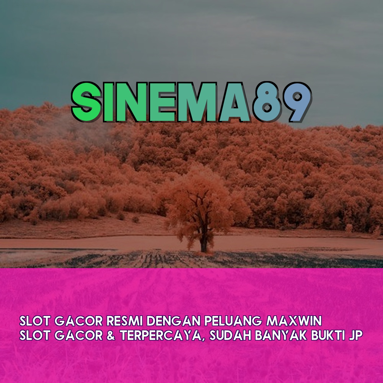 SINEMA89