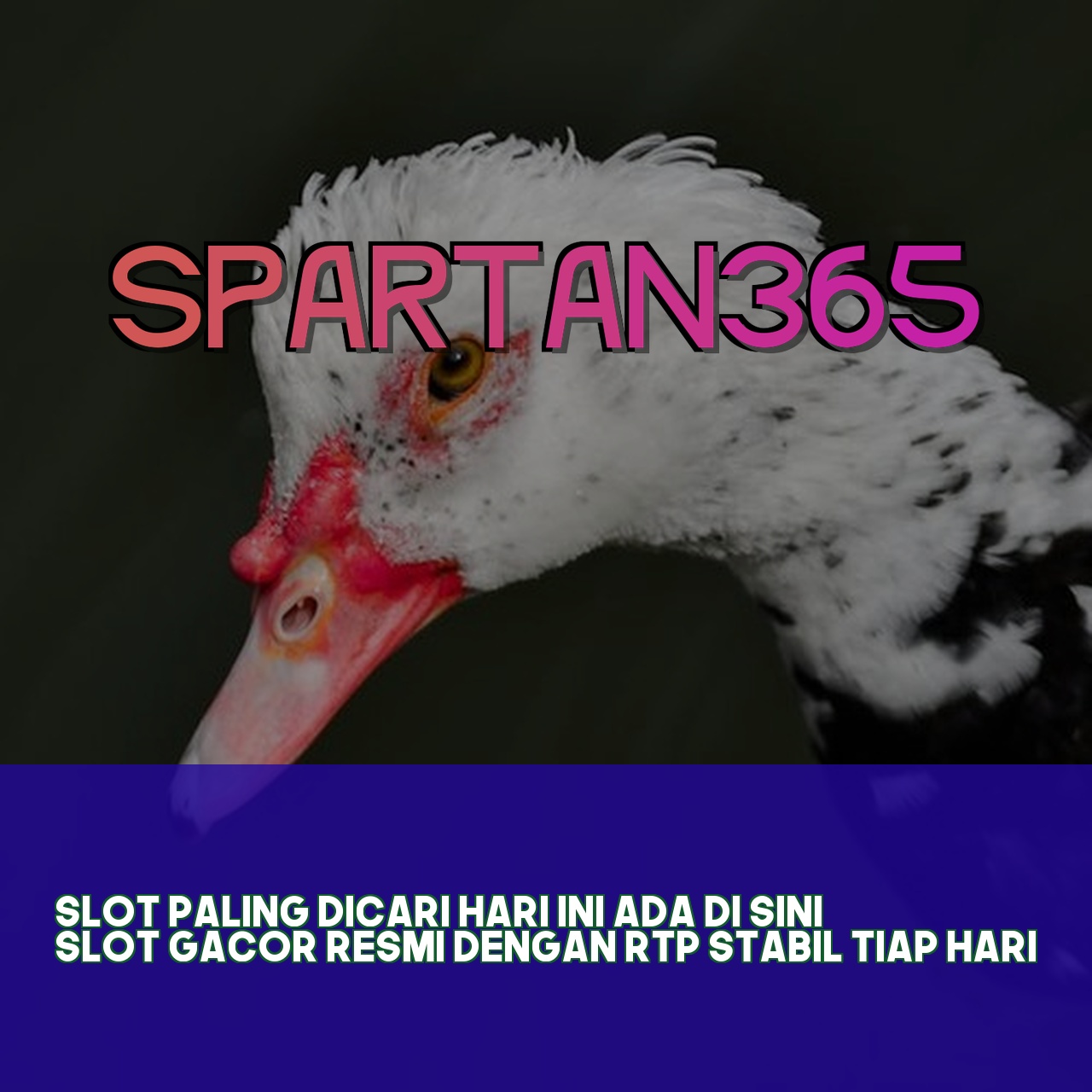 SPARTAN365