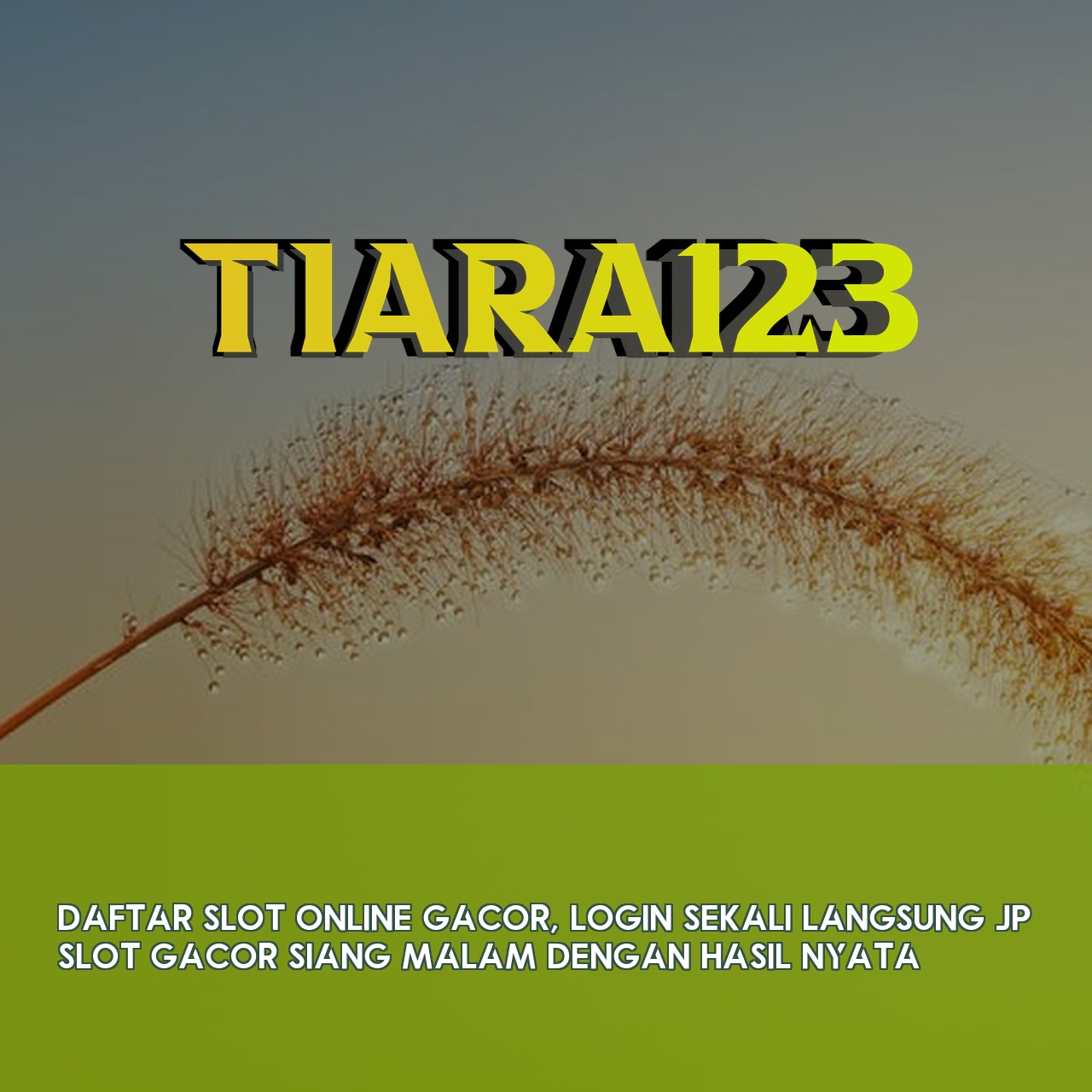 TIARA123